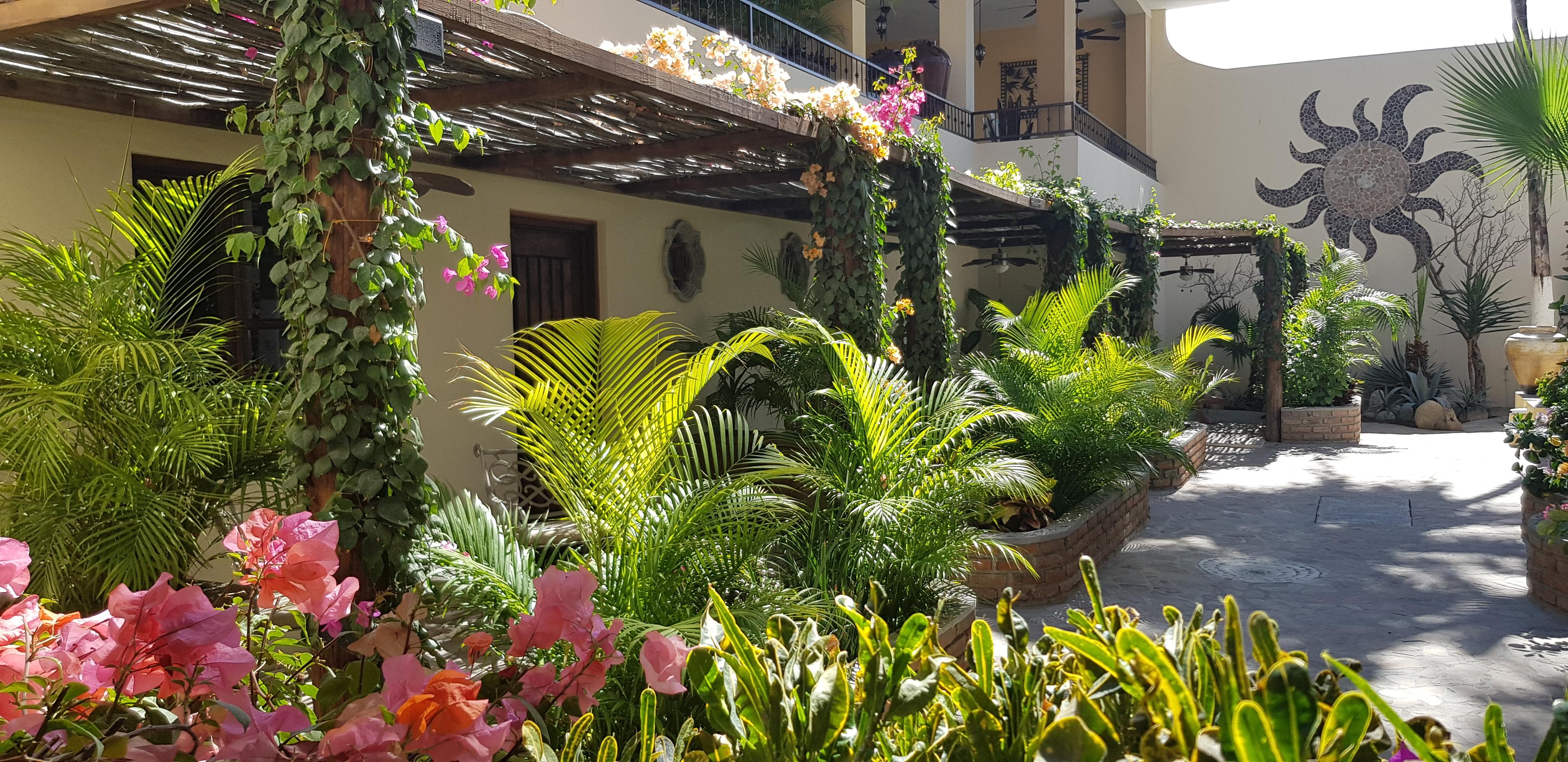 Posada De Las Flores La Paz Εξωτερικό φωτογραφία