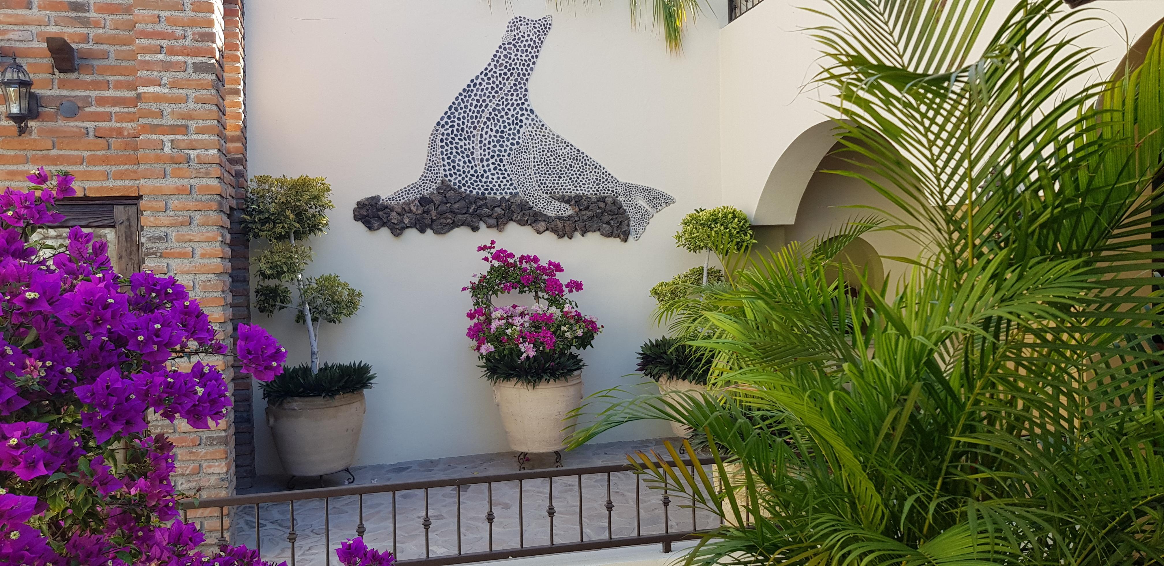 Posada De Las Flores La Paz Εξωτερικό φωτογραφία