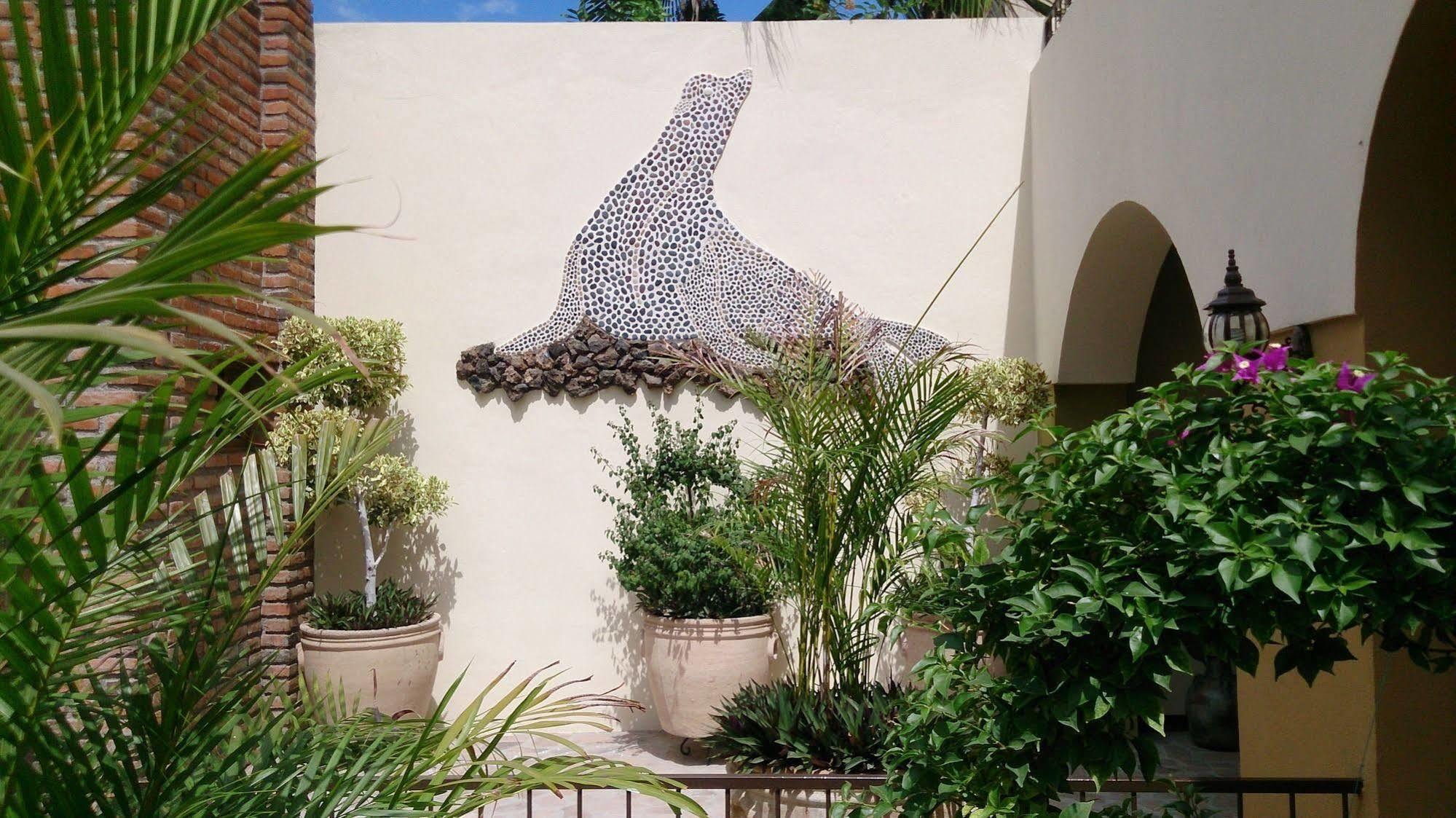 Posada De Las Flores La Paz Εξωτερικό φωτογραφία